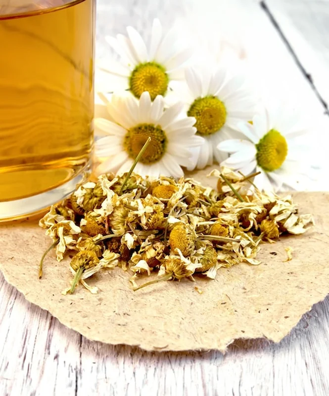 Kwiaty rumianku, herbata w kubku, stokrotki na drewnianej desce